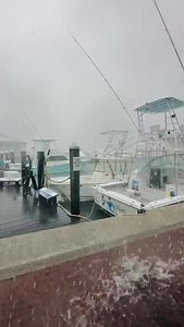 CONDITIONS IN THE KEY WEST HISTORIC SEAPORT........ #KEYWESTCHARTERBOAT | FishMonster Key West