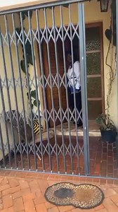 65K views · 1.4K reactions | Join the Nyasha Ndedzako tik tok challenge..Send your challenge video to 0774 394 716,tag us @Francis Hawu Juma or use a #NyashaNdedzako... #InzwaNgomaYoriraWanaMai #Famba! | Francis Hawu Juma- Official | Facebook