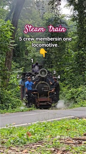 Steam engine viaral video. #Darjeeling #shorts #heritagesite #B_aclass_Steam_engine #train