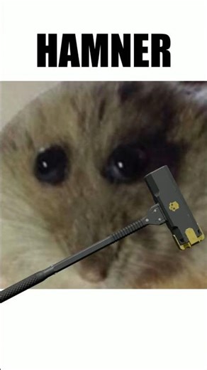 HAMNER #helldivers2 #shorts