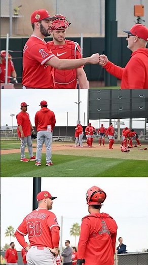 Angels Pitchers & Catchers Spring Training Workouts 🌵