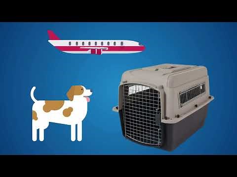 HOW TO SIZE YOUR PET'S TRAVEL CRATE