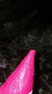 Elf × Lone Stone Designs | Lone Stone Designs