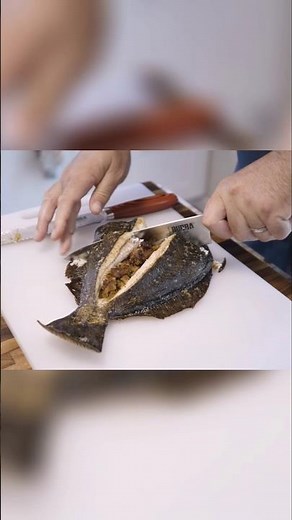 Catch and Cook Fluke From Shore #fluke #shore