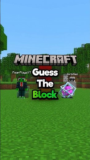 Minecraft Guess The Block!