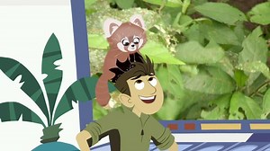 Wild Kratts - Red Panda Origins Video | PBS KIDS
