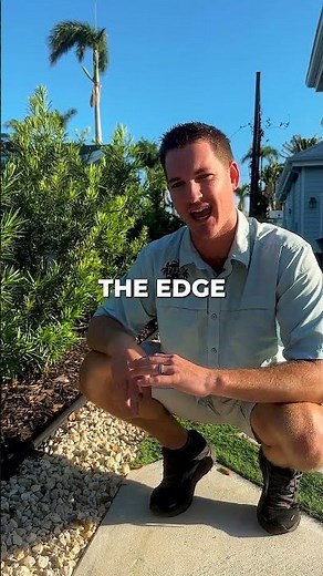 Is Rock or Mulch Better for Landscaping?