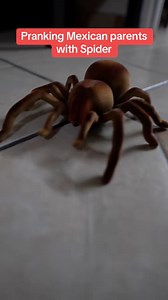 1.4M views · 45K reactions | #fbreelsfypシ゚viralシ #scaryprank #pranks #scaryvideos #latinos #mexican #viralvideochallenge | Miguel Renovato "Official" | Facebook