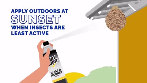 Hot Shot Wasp & Hornet Killer Spray, For Insects Eliminates the Nest, Sprays Up To 27 Feet, 14 fl Ounce, 2 Pack