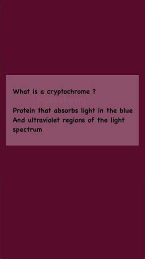 Cryptochrome: The Protein That Senses Blue Light & TIME! ⏰