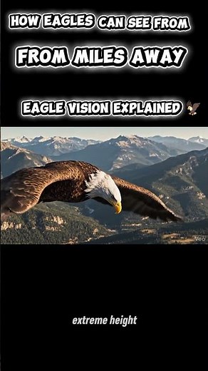 How Eagles Can See From Miles Away | Eagle Vision Explained 🦅 #EagleVision #WildlifeShorts #Eagle
