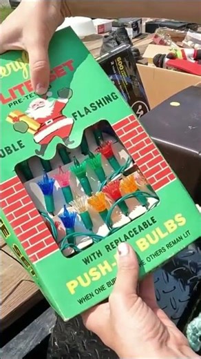 I Can't Believe She Was Selling These for Only $1!