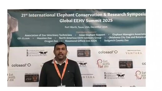 Dr Karikalan Mathesh, Senior Scientist, Centre for Wildlife Conservation Management & Disease Surveillance, ICAR-Indian Veterinary Research Institute, Izatnagar, participated in the 21st International Elephant Conservation and Research Symposium and the Global EEHV Meet 2025, held at Fort Worth Zoo, Texas, USA, from 5–10 December 2025. He presented his research paper titled “Studies on Elephant Endotheliotropic Herpesvirus Haemorrhagic Disease among Asian Elephants (Elephas maximus) in India.” T