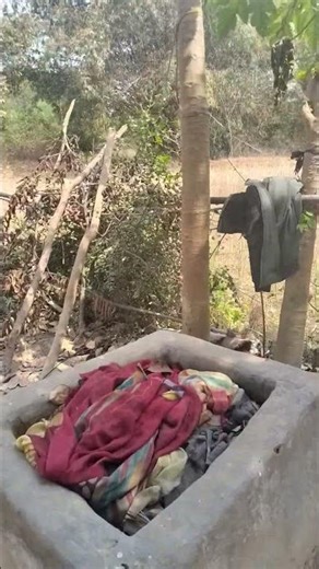 aane wala folder #shortvideo #fruit #ekmotahathighumechala