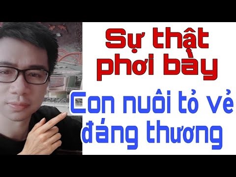 AI CŨNG NHẬN RA HẾT RỒI | CON NUÔI tỏ vẻ ĐÁNG THƯƠNG khi bị LÊN ÁN. Triển Ca Vlog
