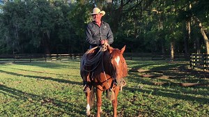 Join Linda and Pat Parelli as they give you some tips and tricks for "Horse Sense and Stable Thinking." In this clip Pat shares the importance of positivity, how it has effects your horsemanship, and other areas of your life. Pat isn't making medical claims or promising all your alignments will disappear, but it sure beats believing in and focusing on "bovine-fecal matter" :) Join us as we begin releasing this series on Facebook, but Savvy Club Members will receive the "rest of the story" over o