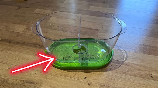 Watch The TRUTH about the Prepworks International Lettuce Keeper on Amazon Live