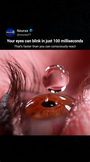 Your Eyes Blink Thousands of Times a Day 👁️