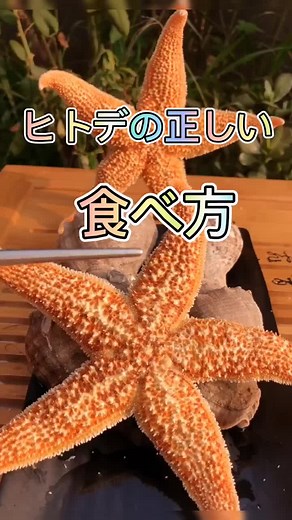 五つ腕のヒトデの正しい食べ方！