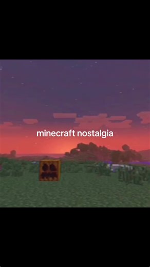 #childhood #nostalgic #fyp #trend #minecraft