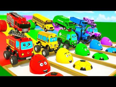 DuZoo explores colorful toy cars and surprise eggs | Baby Shark song + More | Kids Songs