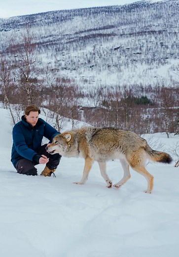 Getongzoend met een wolf: Freek Vonk's avontuur