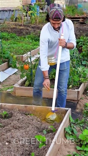 Three Amazing Garden Ideas for a Lush Harvest! 🤩🌿