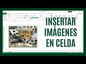 Como Insertar Una Imagen En Una Celda De Excel - Urban Culture, el deporte más urbano