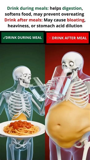 Drinking During Meals VS After Meals: What REALLY Happens to Your Digestion? 💧#facts #health #gym
