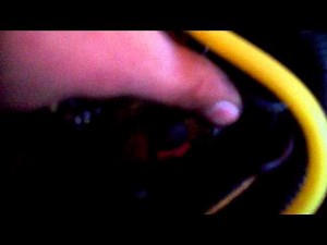 ka24e d21 coolant temp sensor problem