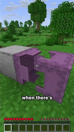 Shulker box secret use
