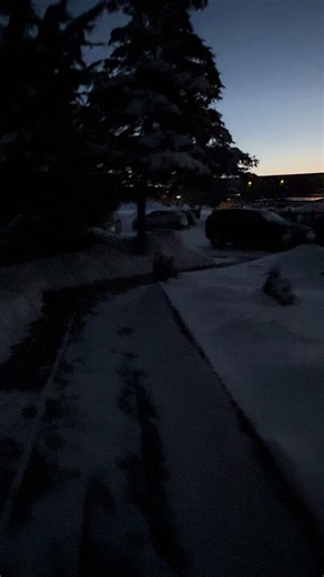 Žaneta Jasaitienė (@zanetajasaitiene)’s videos with As It Was - Harry Styles Cover - Aime Simone