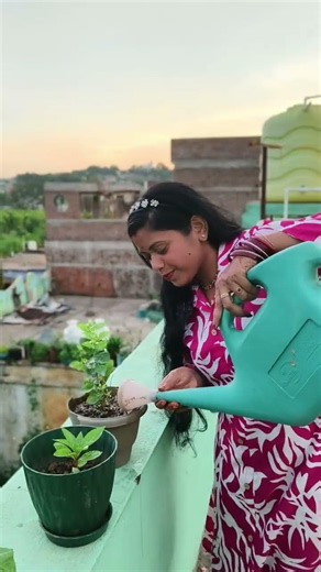 🌱 Daily Plant Care Routine | Watering My Plants ❤️ #shorts