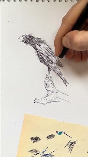 Raven Sketch | Bird Drawing #animaldrawing #artshorts
