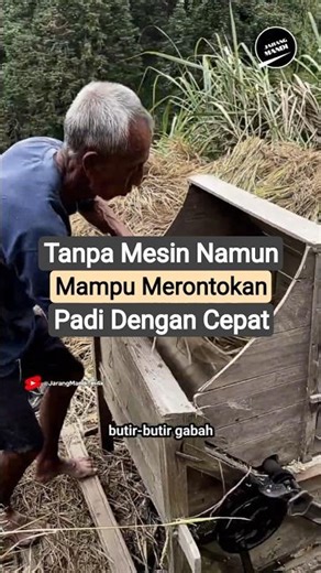 (pedal thresher) Manual Rice Thresher 🇨🇳 #rarelybathing #uniquefacts #agriculturaltools