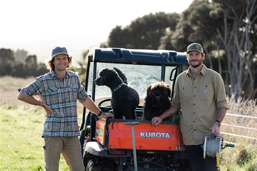 Three ways eco agriculture sets us up for a climate win