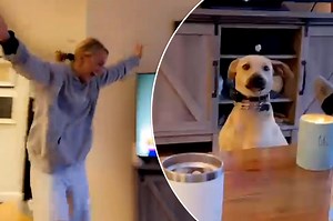 145K views · 4.1K reactions | This dog owner incredibly taught her pooch to say "I love you." https://trib.al/IBBE3zZ | New York Post Lifestyle | Facebook