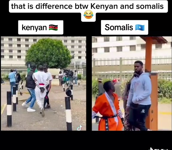 Exploring Somali Culture and Gaming Trends