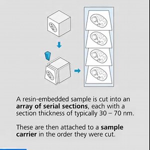 Array tomography is a powerful approach for generating 3D datasets with nanoscale resolution, e.g. for the exploration of samples as diverse as cells, tissues and plants. The sample is sectioned into many hundreds of individual slices and each is imaged at high resolution using scanning electron microscopy. As a non-destructive approach, the thin sections of the sample are maintained on the imaging substrate and can be further studied using other methods such as fluorescence microscopy or other 