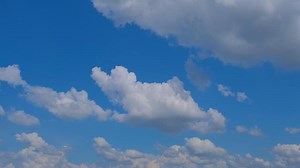 Download A large field with a few people flying kites for free