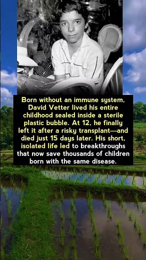 The Boy in the Bubble: David Vetter’s Life That Changed Medicine