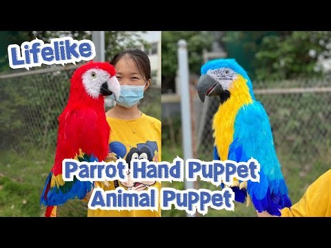 Realistic Blue and Red Parrot Puppet For Sale | Animal Puppet