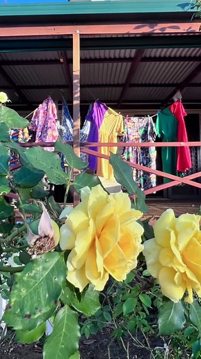 35 reactions · 20 comments | Well that’s a rap for 2025. My uniforms...