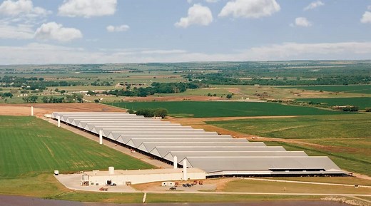 Braum’s Ice Cream Factory and Dairy Farm Tours and Field Trips | Braum's