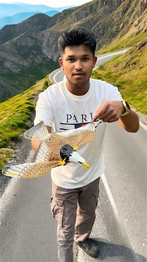 Remote Control Flying Bird Unboxing and Testing 🦅