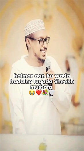 Sheikh Mustafa's Heartfelt Moments