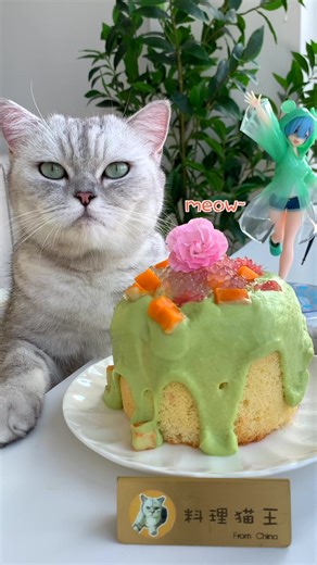 Easy Cake Making by Skilled Cats
