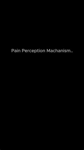 Pain perception mechanism
