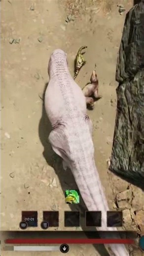 helping a baby sarc get food