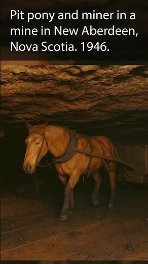 Coal Mining History
